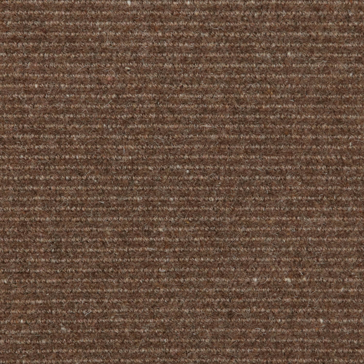 Tigris - Camel Brown - Bloomsburg Carpet