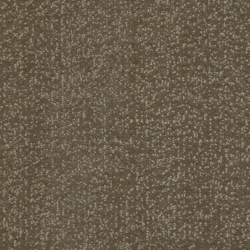 Wool Shear Wheat Bloomsburg Carpet